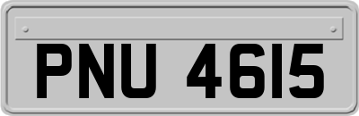 PNU4615