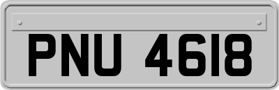 PNU4618