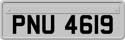 PNU4619