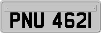 PNU4621