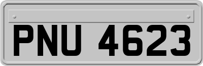 PNU4623