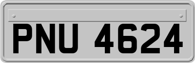 PNU4624