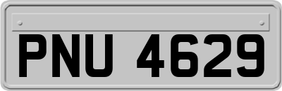PNU4629