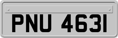 PNU4631