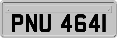 PNU4641