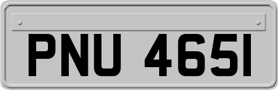 PNU4651