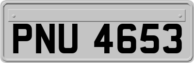 PNU4653