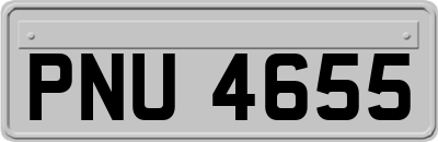 PNU4655