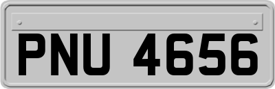 PNU4656