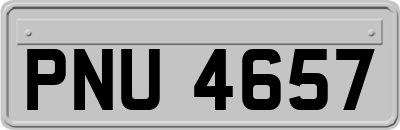 PNU4657