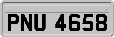PNU4658