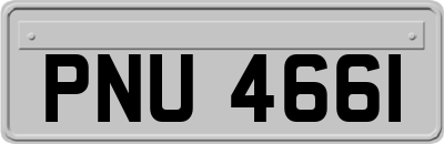 PNU4661