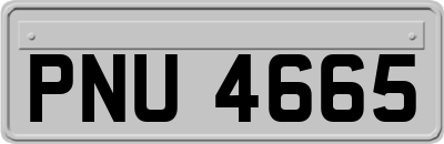 PNU4665