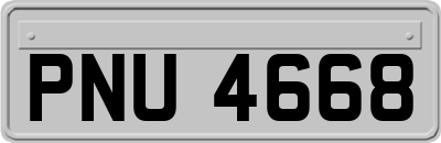 PNU4668