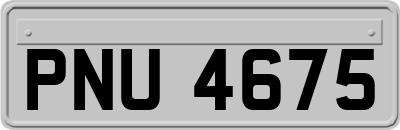 PNU4675