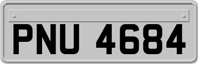 PNU4684