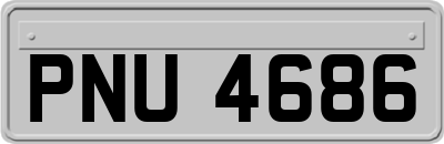 PNU4686