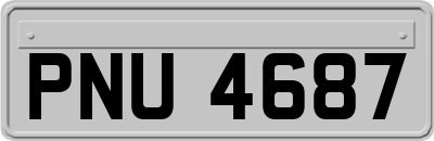 PNU4687