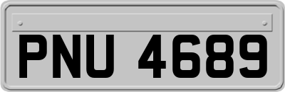 PNU4689