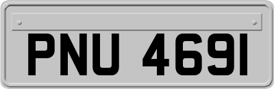 PNU4691