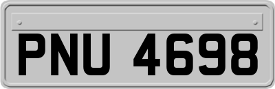 PNU4698