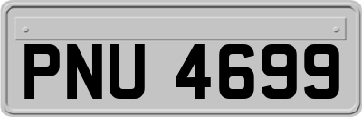 PNU4699