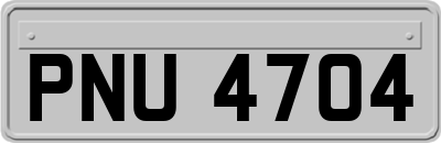 PNU4704