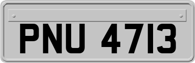 PNU4713