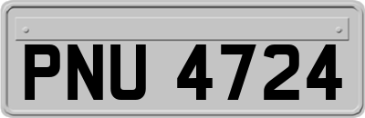 PNU4724