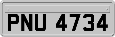 PNU4734