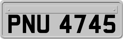 PNU4745