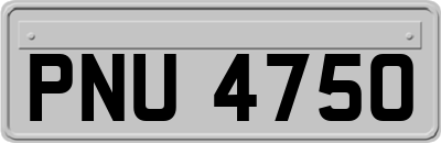 PNU4750