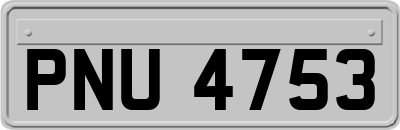 PNU4753