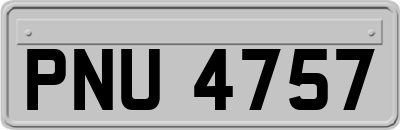PNU4757