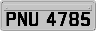 PNU4785