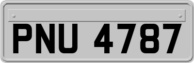PNU4787