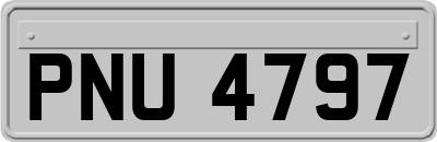 PNU4797