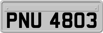 PNU4803