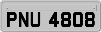 PNU4808