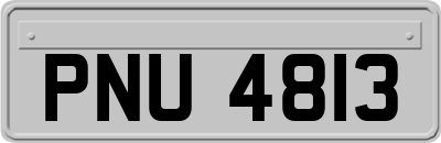 PNU4813