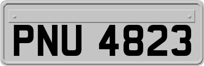 PNU4823
