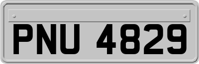 PNU4829