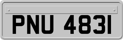 PNU4831