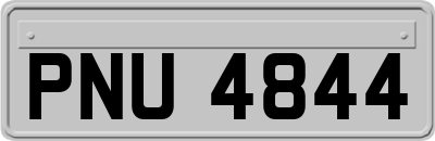 PNU4844
