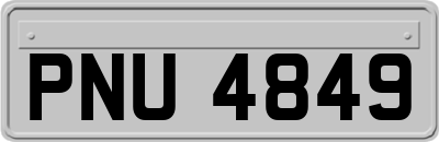 PNU4849