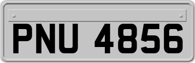 PNU4856