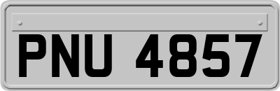 PNU4857