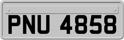 PNU4858
