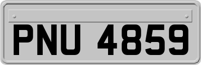 PNU4859