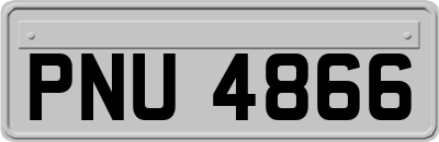 PNU4866